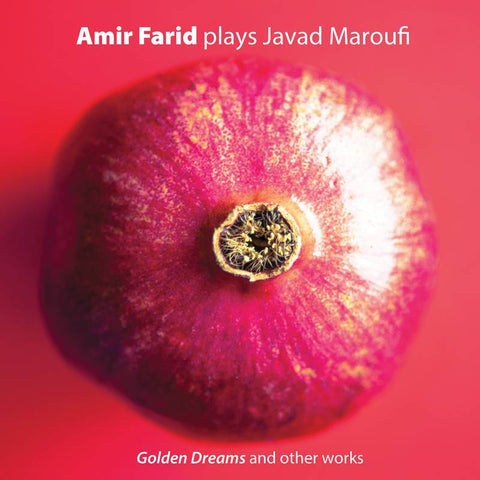 Amir Farid plays Javad Maroufi